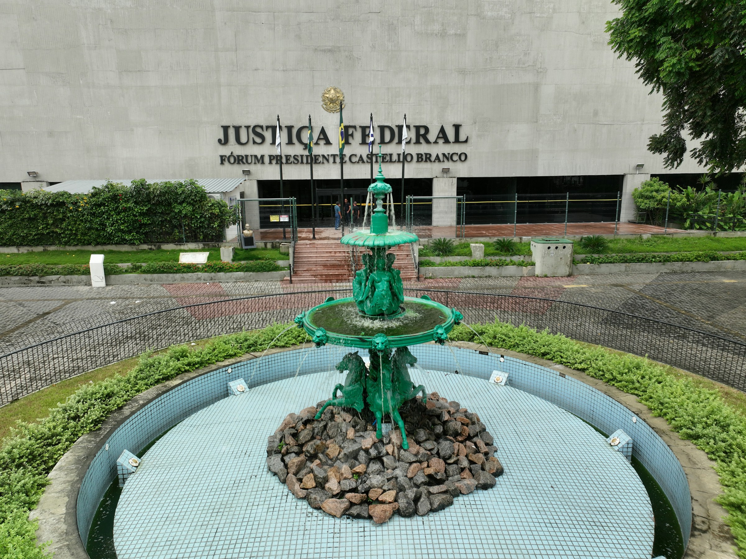 Feed Image